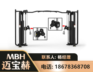 黔东南大飞鸟训练器